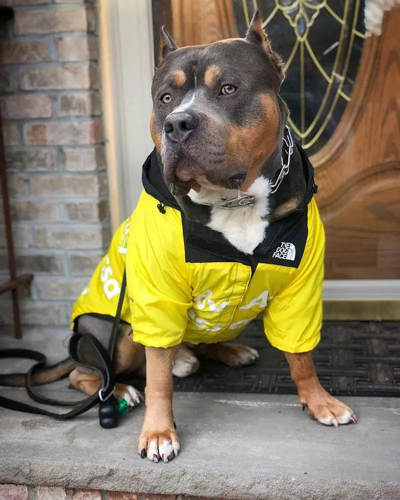 Cama para perros impermeable y cómoda: tapete suave extraíble, cojín grueso para mascotas de todos los tamaños