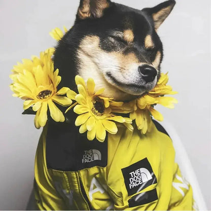 Cama para perros impermeable y cómoda: tapete suave extraíble, cojín grueso para mascotas de todos los tamaños